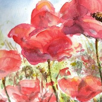 Bild - Mohnfeld Aquarell