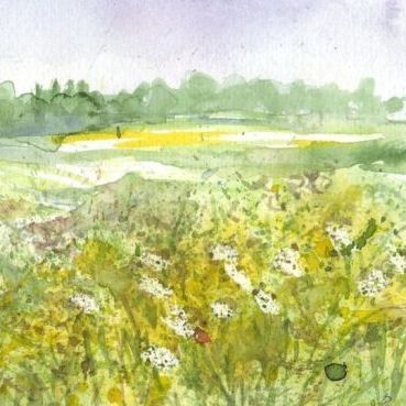 Bild - Frühlingswiese