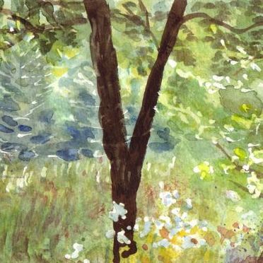 Bild - Garten Aquarell